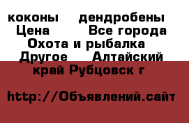 коконы    дендробены › Цена ­ 25 - Все города Охота и рыбалка » Другое   . Алтайский край,Рубцовск г.